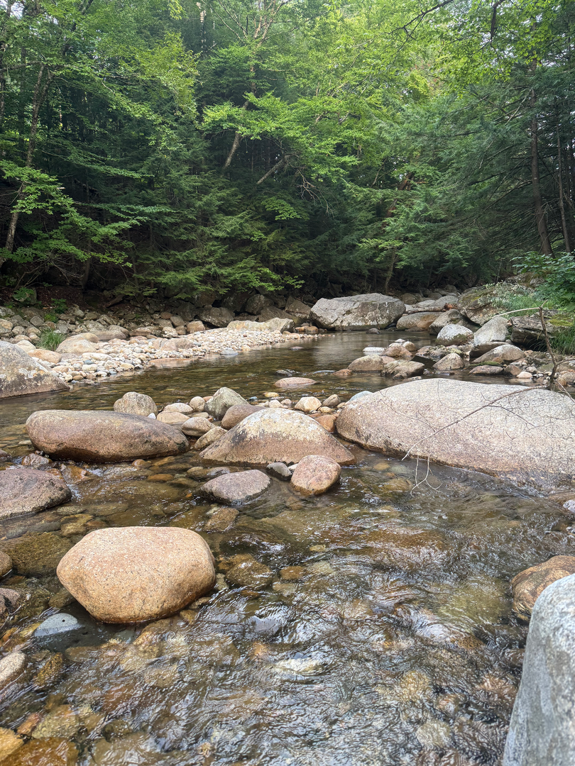 A rocky woodland creek running through the mountains
