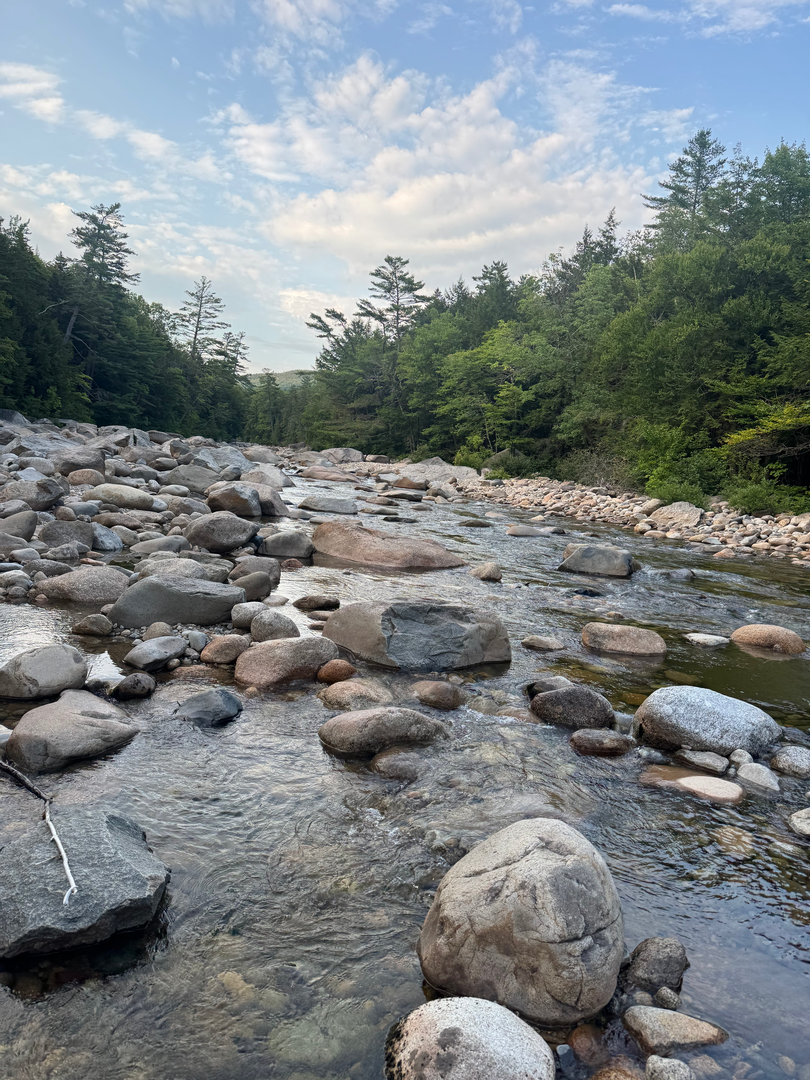 A rocky mountain creek beneath a cloudy sky