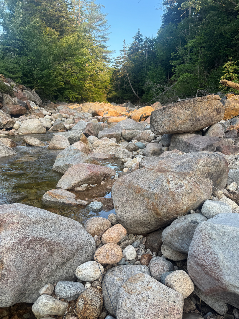 Late sunlight crossing a boulder-filled mountain creek