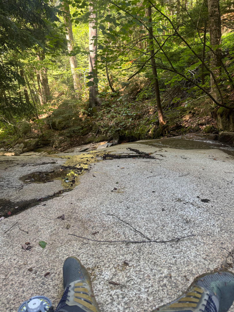 Boots at rest beside a shaded forest stream