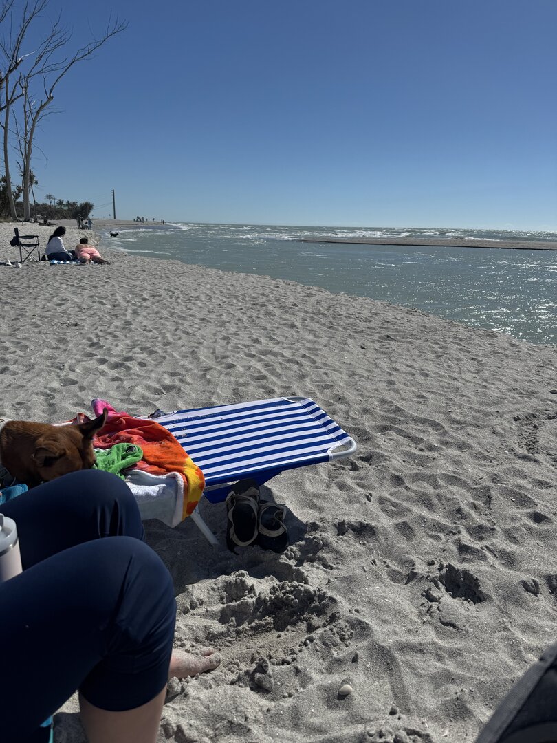 Florida beach day