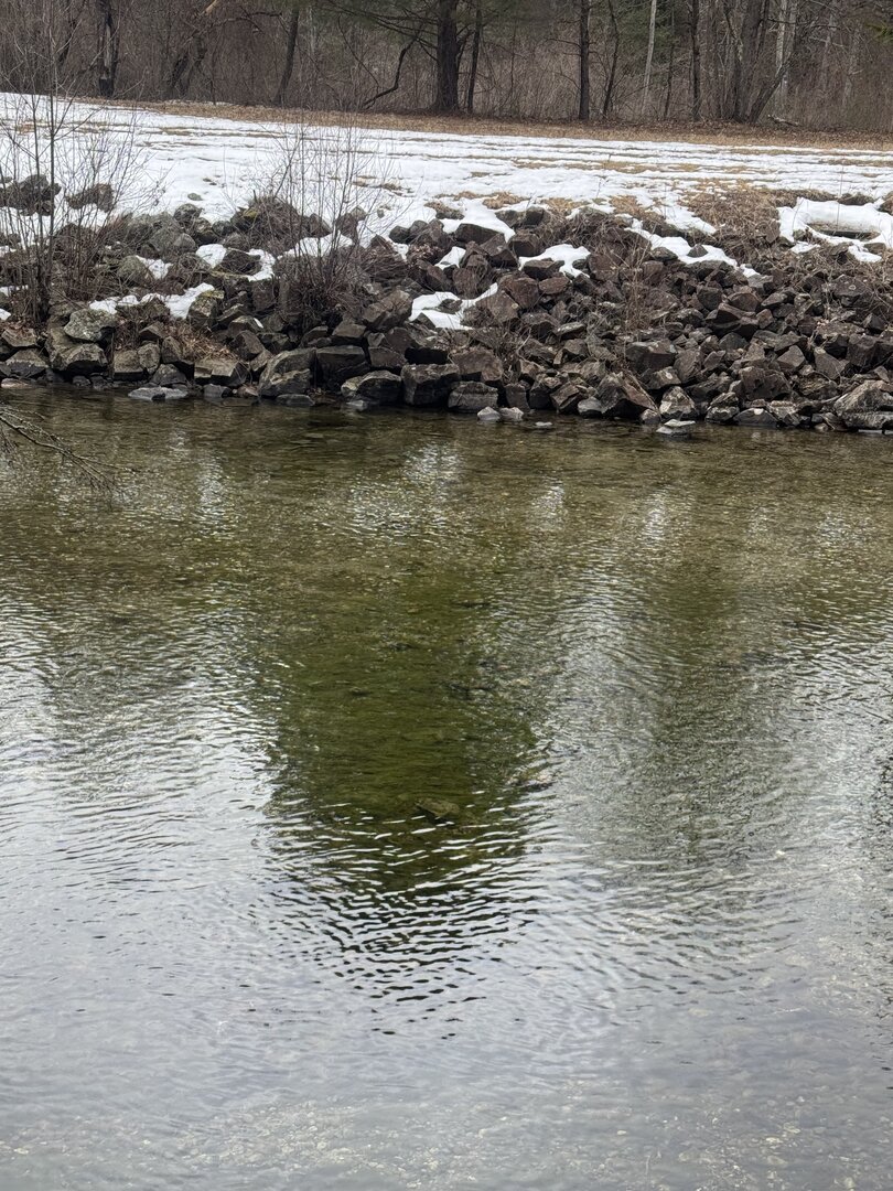 Ice out at the pond