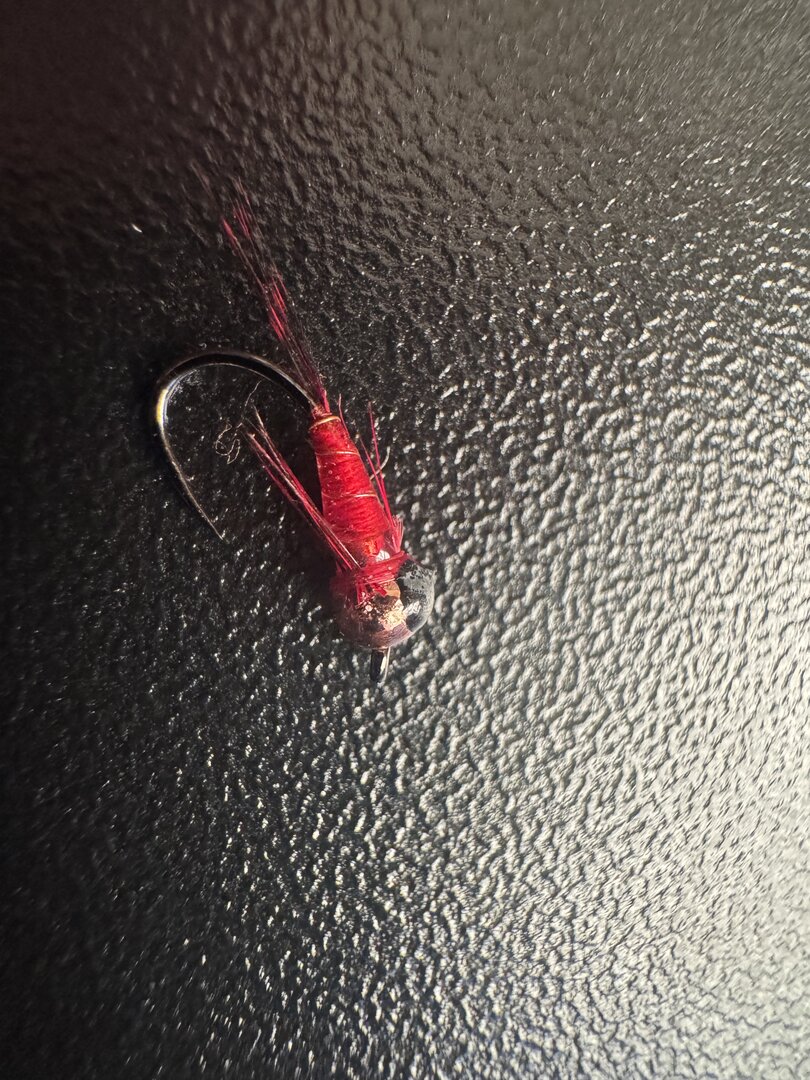 Red jig nymph