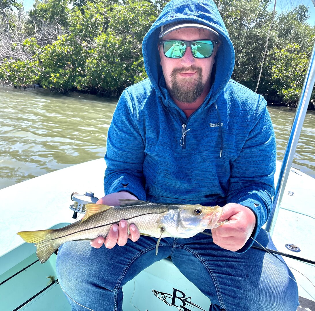 Snook in the mangroves