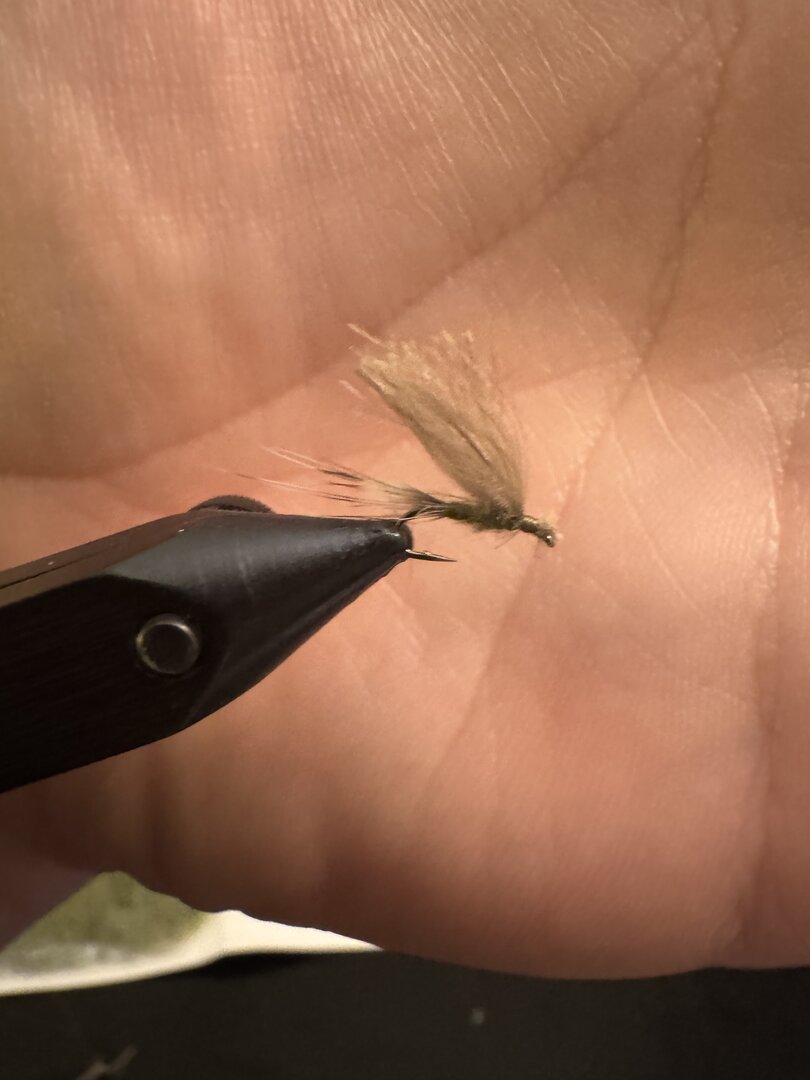Winter caddis dry